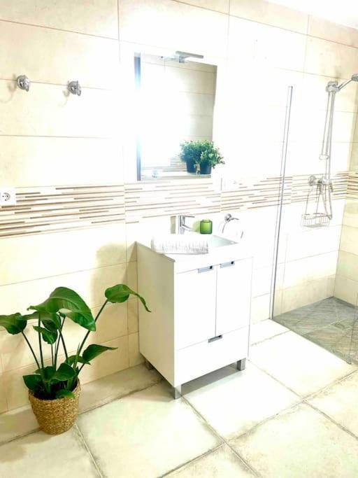 Brisa Home Chiclana de la Frontera Kültér fotó